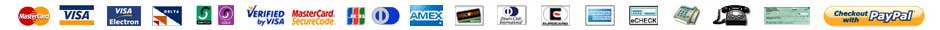 Secure online payment processing
