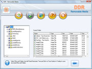 Removable media data recovery Software Screenshot