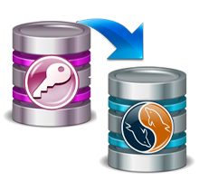 MS Access to MySQL Database Converter